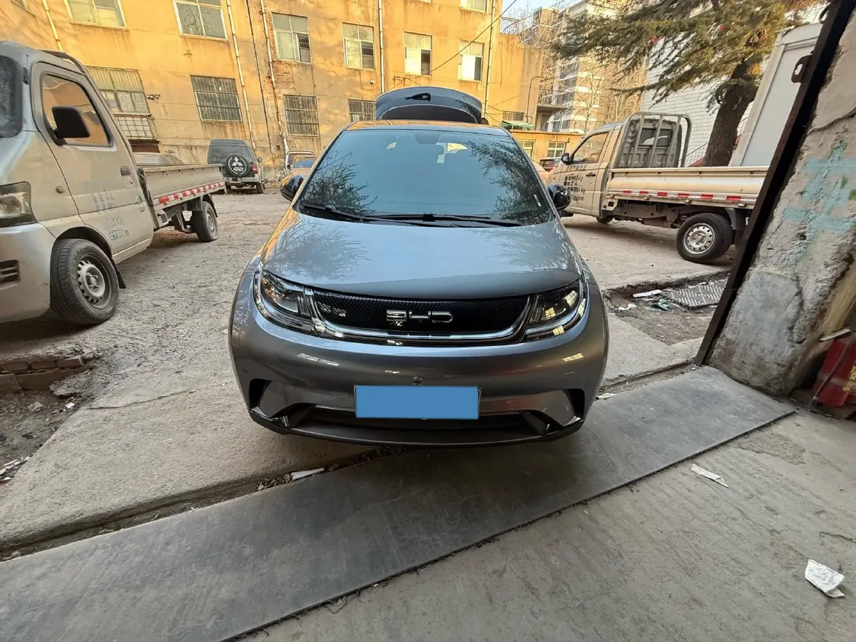 2023 BYD Dolphin BEV 44.928KWH,autocango,china used car exporter,china ev exporter,chinese used car exporter,chinese used ev exporter