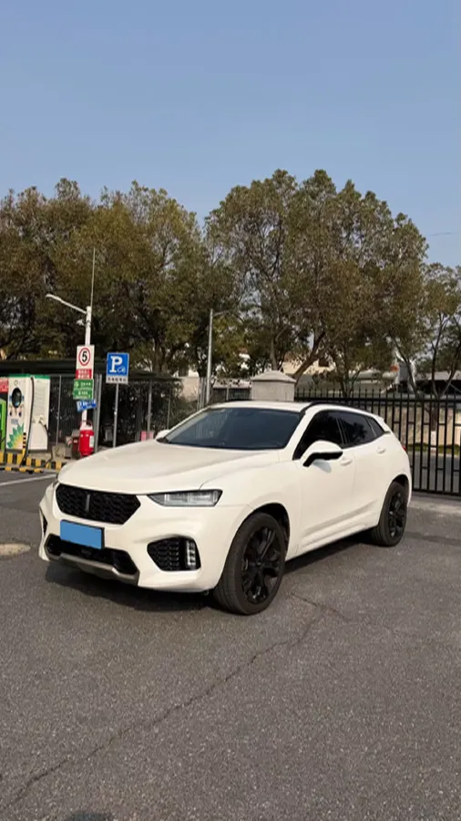 2017 WEY VV7 2.0T 234HP L4 7DCT,autocango,china used car exporter,china ev exporter,chinese used car exporter,chinese used ev exporter
