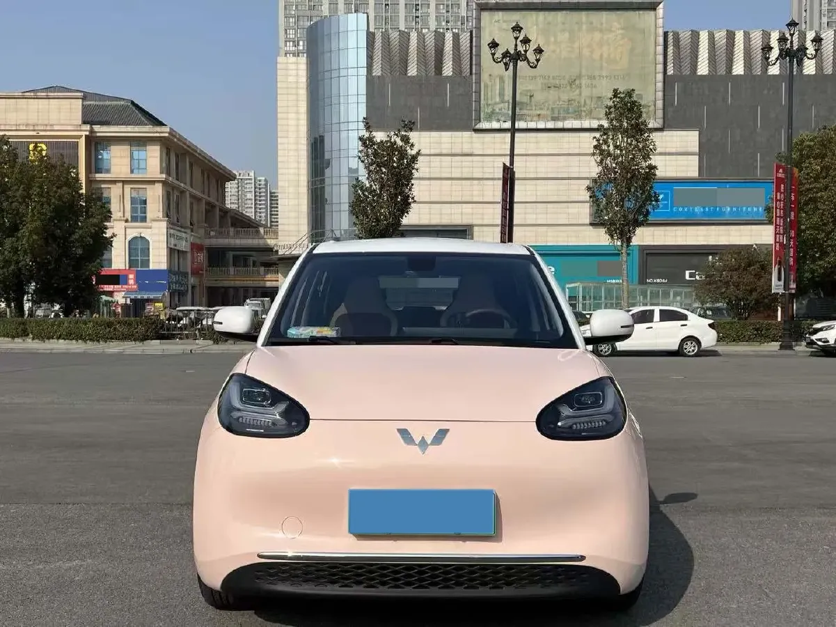 2023 WuLing BinGuo BEV 37.9KWH,autocango,china used car exporter,china ev exporter,chinese used car exporter,chinese used ev exporter