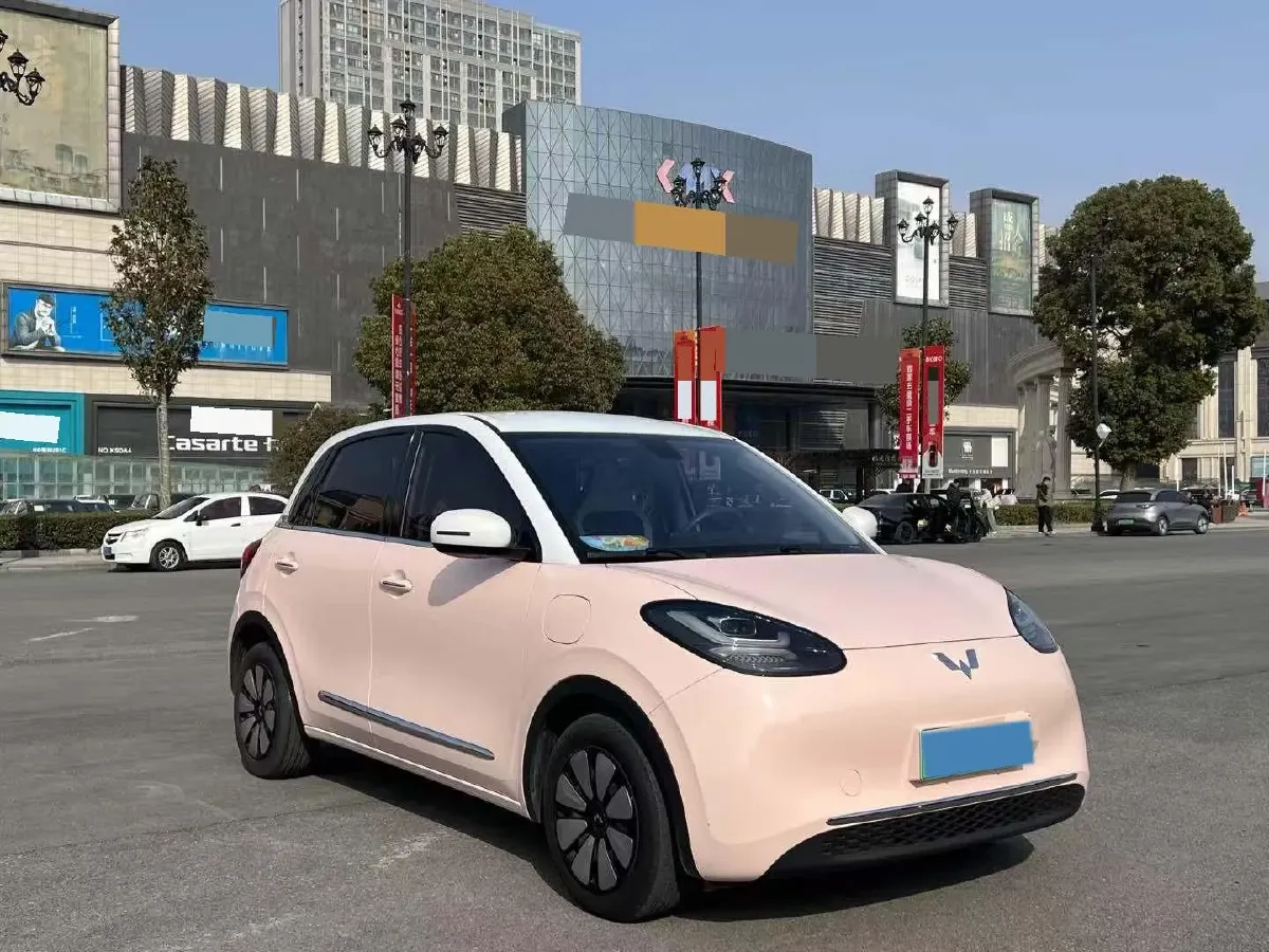 2023 WuLing BinGuo BEV 37.9KWH,autocango,china used car exporter,china ev exporter,chinese used car exporter,chinese used ev exporter