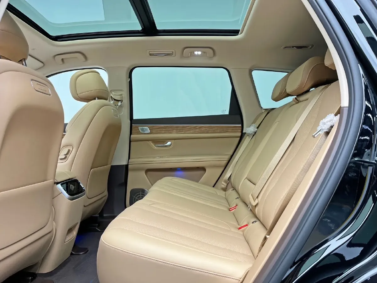 2024 AITO AITO M7 1.5T 152HP L4 REEV 38.5KWH,autocango,china used car exporter,china ev exporter,chinese used car exporter,chinese used ev exporter