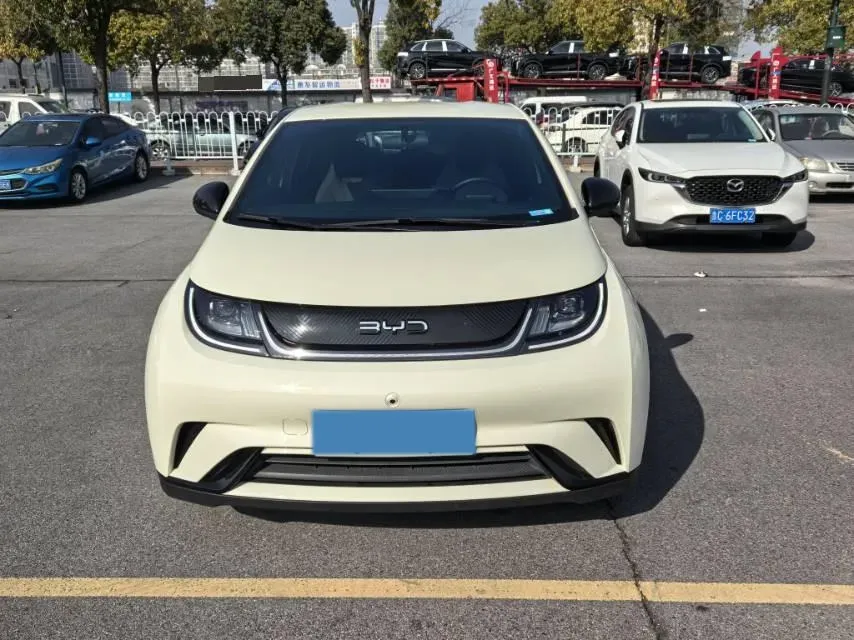 2024 BYD Dolphin BEV 44.928KWH,autocango,china used car exporter,china ev exporter,chinese used car exporter,chinese used ev exporter