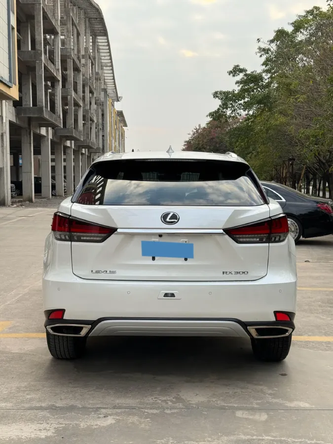 2020 Lexus RX 2.0T 231HP L4 6AT,autocango,china used car exporter,china ev exporter,chinese used car exporter,chinese used ev exporter
