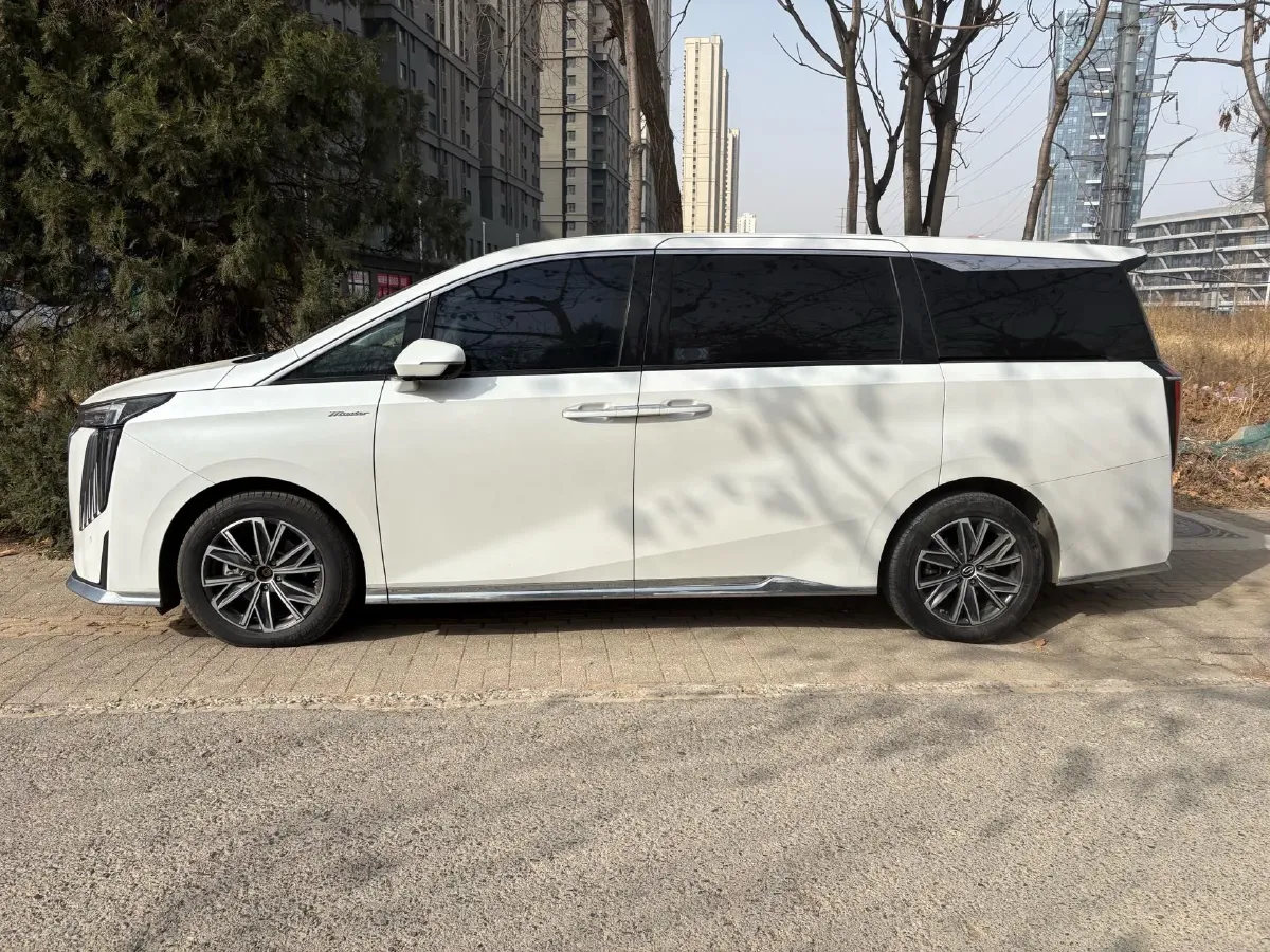 2024 GAC Trumpchi M8 2.0T 252HP L4 8AT,autocango,china used car exporter,china ev exporter,chinese used car exporter,chinese used ev exporter
