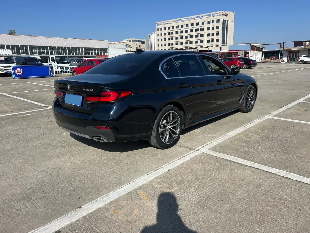2021 BMW 5 Series 2.0T 184HP L4 8AT,autocango,china used car exporter,china ev exporter,chinese used car exporter,chinese used ev exporter