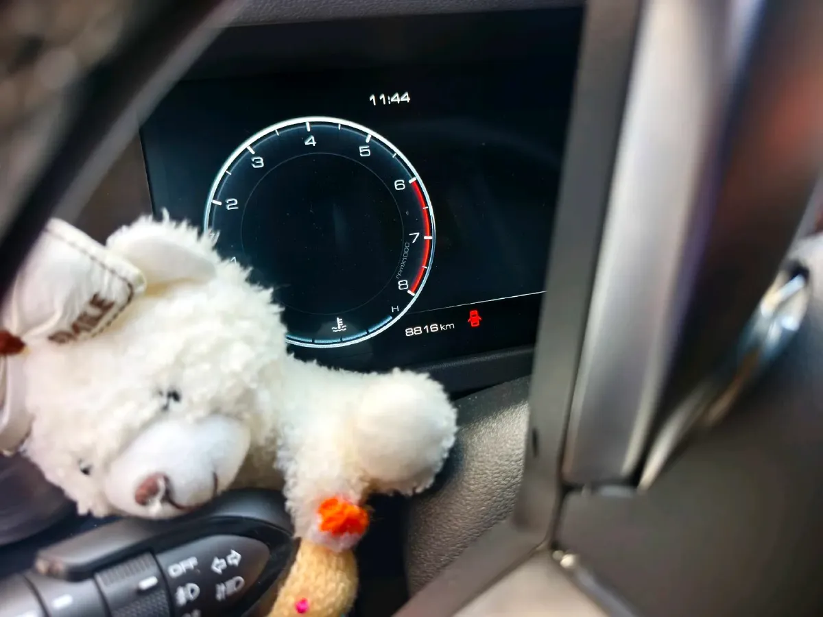 2024 Tank 300 2.0T 227HP L4 8AT,autocango,china used car exporter,china ev exporter,chinese used car exporter,chinese used ev exporter