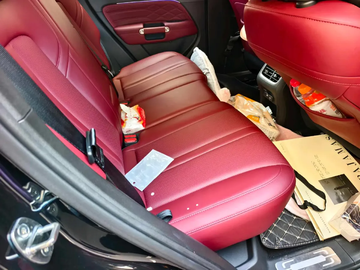 2024 Tank 300 2.0T 227HP L4 8AT,autocango,china used car exporter,china ev exporter,chinese used car exporter,chinese used ev exporter