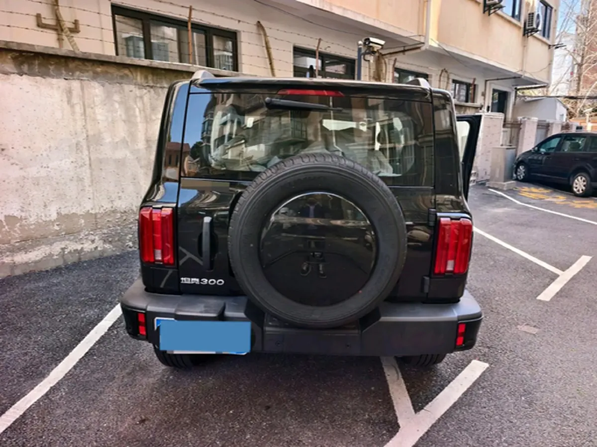 2024 Tank 300 2.0T 227HP L4 8AT,autocango,china used car exporter,china ev exporter,chinese used car exporter,chinese used ev exporter