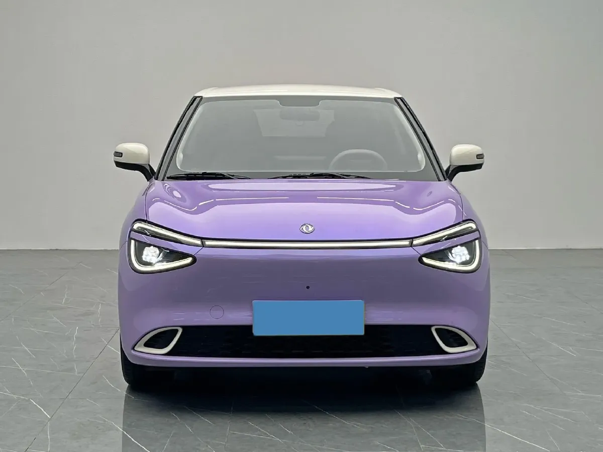 2024 DongFeng eπ 01 BEV 42.3KWH,autocango,china used car exporter,china ev exporter,chinese used car exporter,chinese used ev exporter