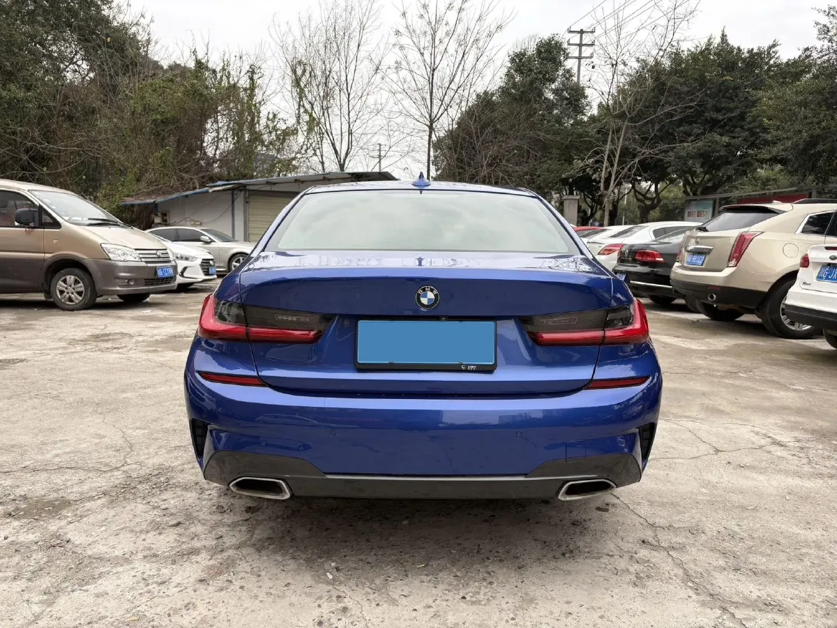 2020 BMW 3 Series 2.0T 156HP L4 8AT,autocango,china used car exporter,china ev exporter,chinese used car exporter,chinese used ev exporter