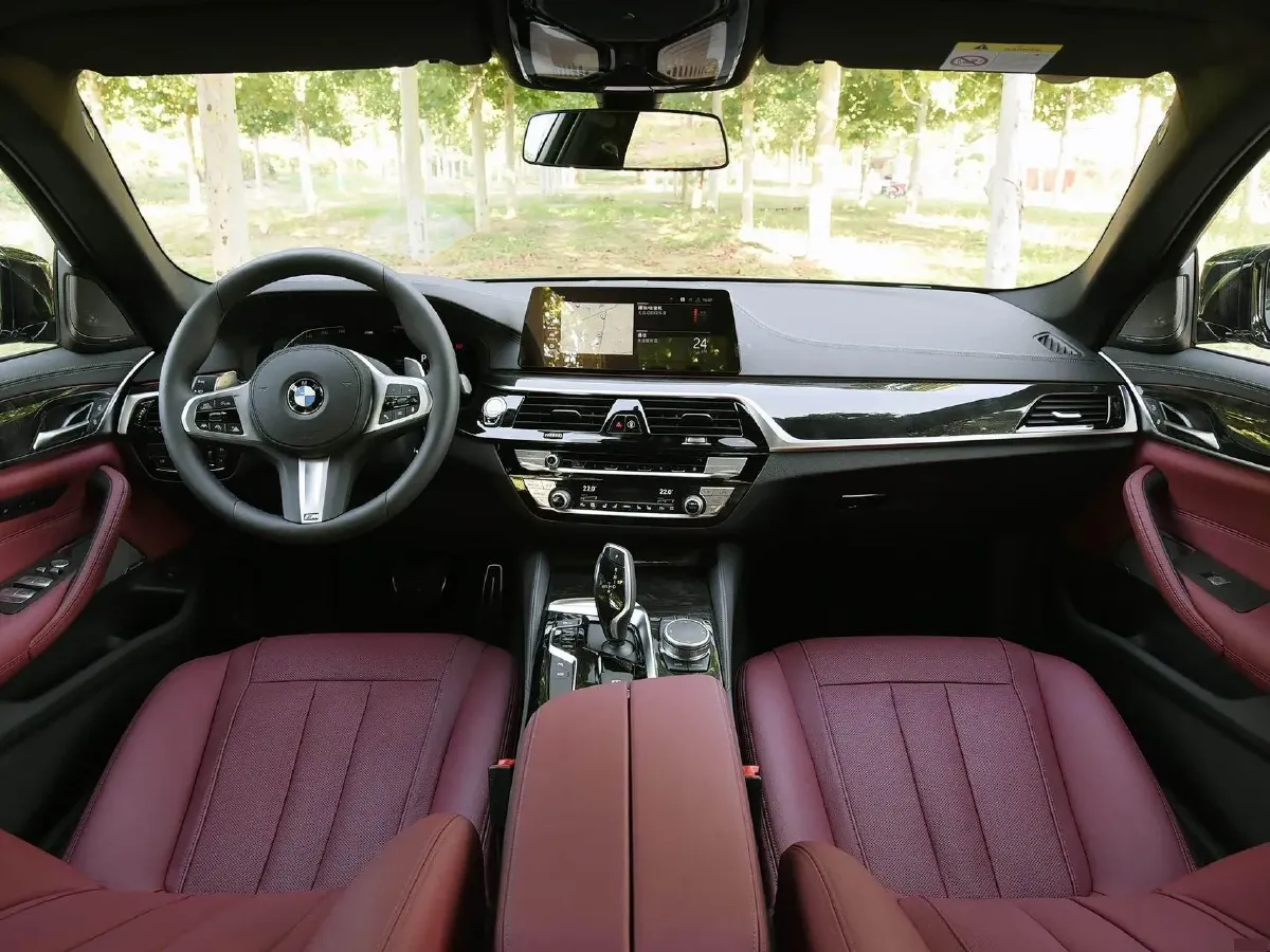 2020 BMW 5 Series 2.0T 252HP L4 8AT,autocango,china used car exporter,china ev exporter,chinese used car exporter,chinese used ev exporter