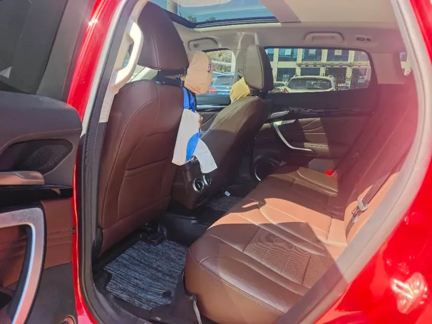 2017 WEY VV7 2.0T 234HP L4 7DCT,autocango,china used car exporter,china ev exporter,chinese used car exporter,chinese used ev exporter