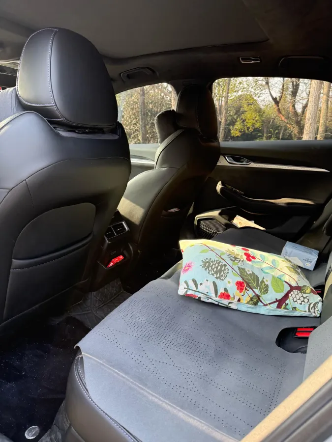 2024 Geely Preface 2.0T 190HP L4 7DCT,autocango,china used car exporter,china ev exporter,chinese used car exporter,chinese used ev exporter