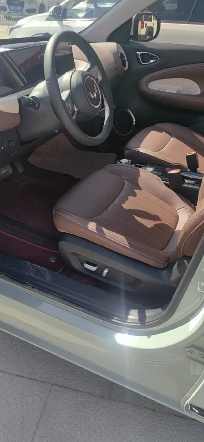 2023 WuLing BinGuo BEV 37.9KWH,autocango,china used car exporter,china ev exporter,chinese used car exporter,chinese used ev exporter