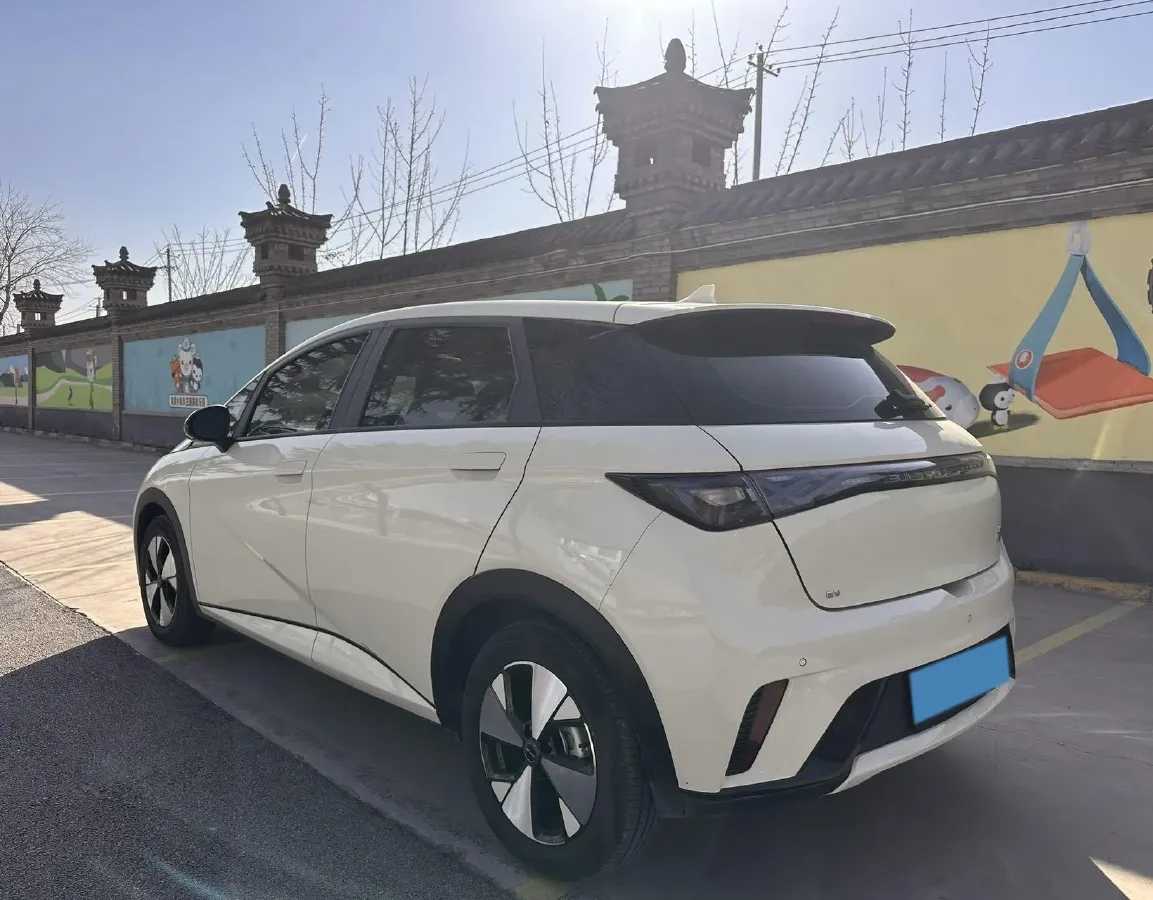 2023 BYD Dolphin BEV 44.928KWH,autocango,china used car exporter,china ev exporter,chinese used car exporter,chinese used ev exporter