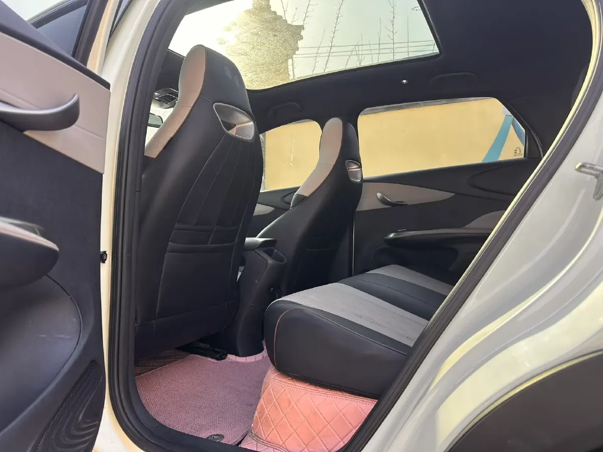 2023 BYD Dolphin BEV 44.928KWH,autocango,china used car exporter,china ev exporter,chinese used car exporter,chinese used ev exporter