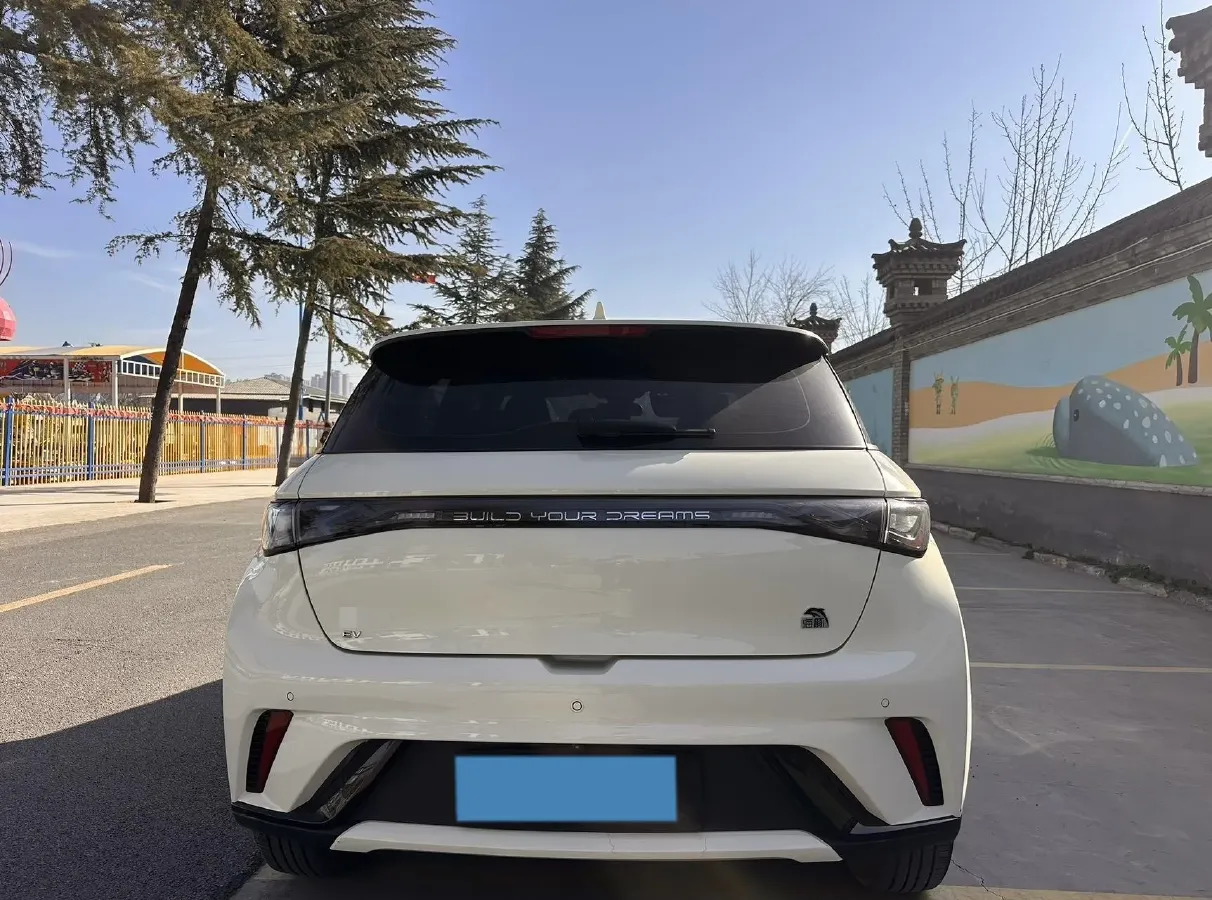 2023 BYD Dolphin BEV 44.928KWH,autocango,china used car exporter,china ev exporter,chinese used car exporter,chinese used ev exporter