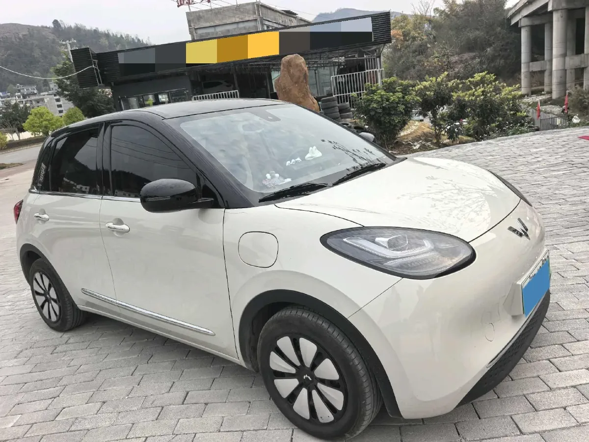 2023 WuLing BinGuo BEV 31.9KWH,autocango,china used car exporter,china ev exporter,chinese used car exporter,chinese used ev exporter