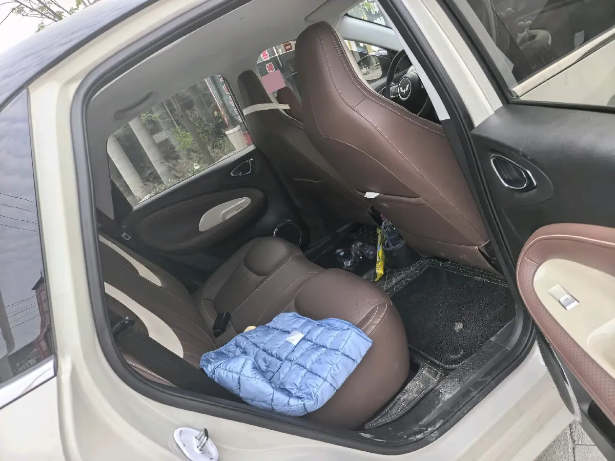 2023 WuLing BinGuo BEV 31.9KWH,autocango,china used car exporter,china ev exporter,chinese used car exporter,chinese used ev exporter