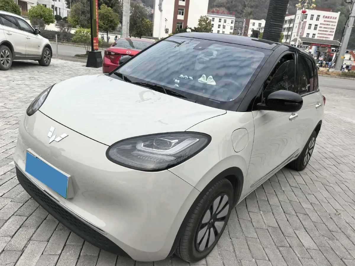 2023 WuLing BinGuo BEV 31.9KWH,autocango,china used car exporter,china ev exporter,chinese used car exporter,chinese used ev exporter