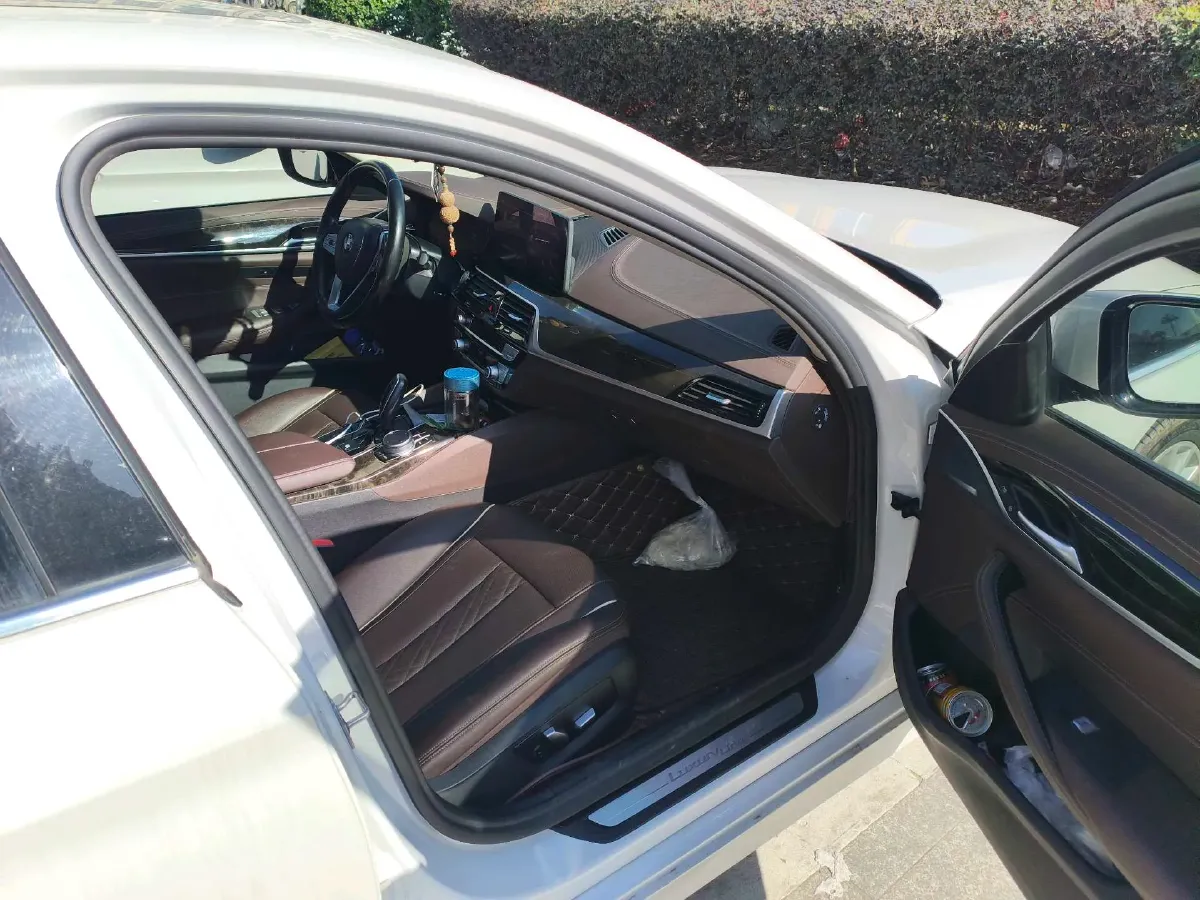 2021 BMW 5 Series 2.0T 184HP L4 8AT,autocango,china used car exporter,china ev exporter,chinese used car exporter,chinese used ev exporter