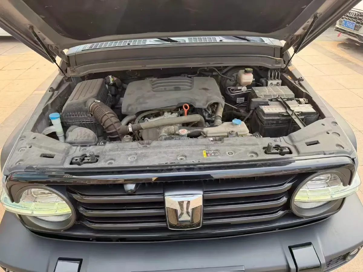 2021 Tank 300 2.0T 227HP L4 8AT,autocango,china used car exporter,china ev exporter,chinese used car exporter,chinese used ev exporter
