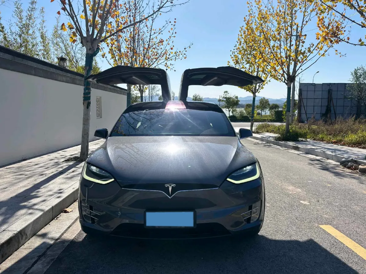 2019 Tesla Model X BEV 100KWH,autocango,china used car exporter,china ev exporter,chinese used car exporter,chinese used ev exporter