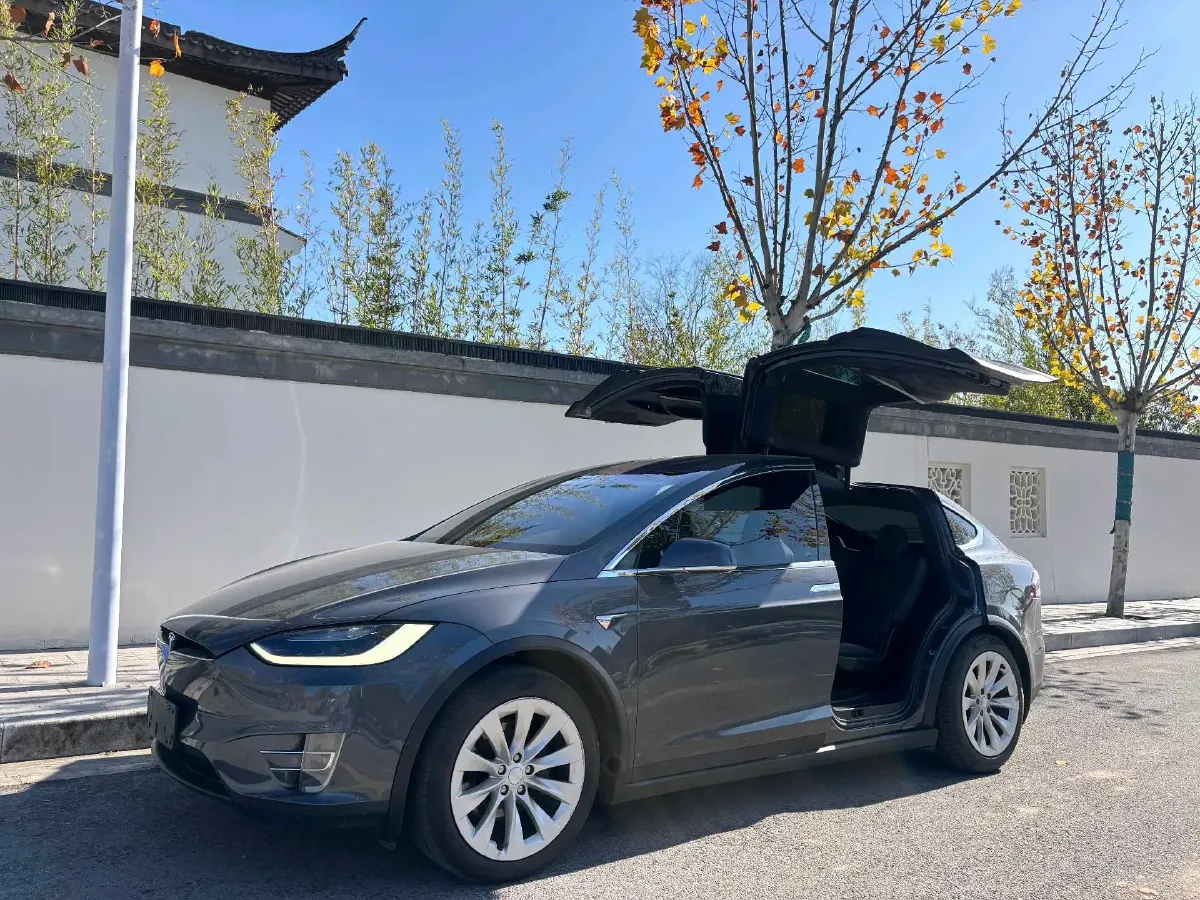 2019 Tesla Model X BEV 100KWH,autocango,china used car exporter,china ev exporter,chinese used car exporter,chinese used ev exporter