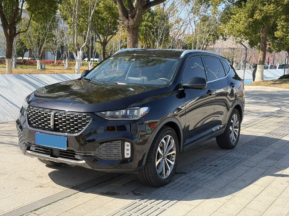 2020 WEY VV6 2.0T 227HP L4 7DCT,autocango,china used car exporter,china ev exporter,chinese used car exporter,chinese used ev exporter