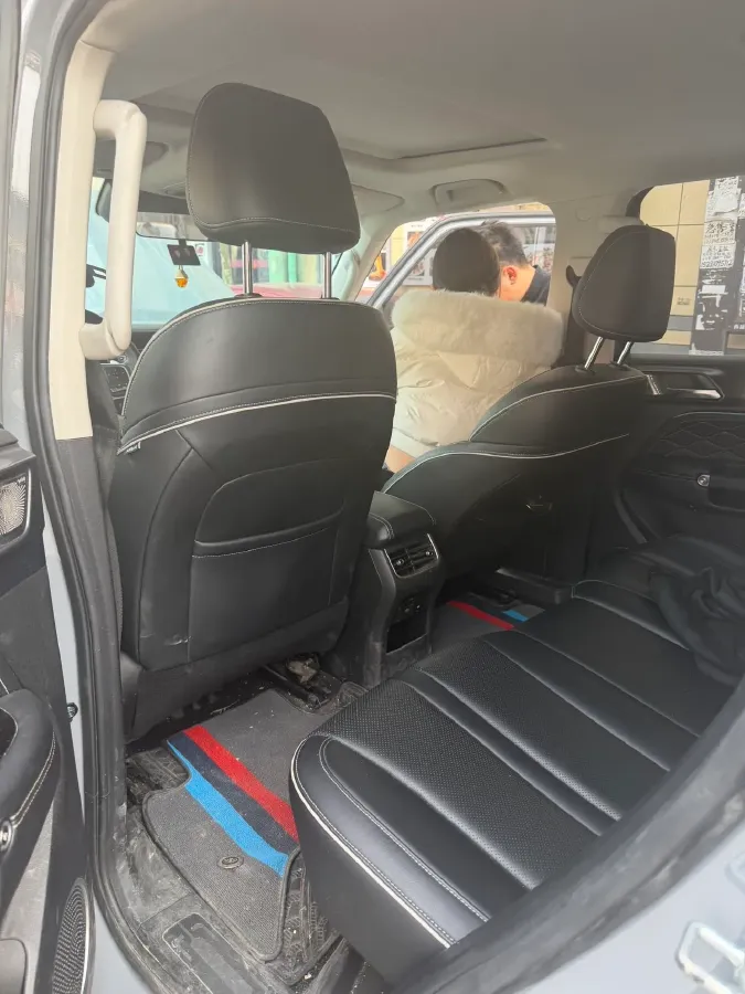 2023 Tank 300 2.0T 227HP L4 8AT,autocango,china used car exporter,china ev exporter,chinese used car exporter,chinese used ev exporter