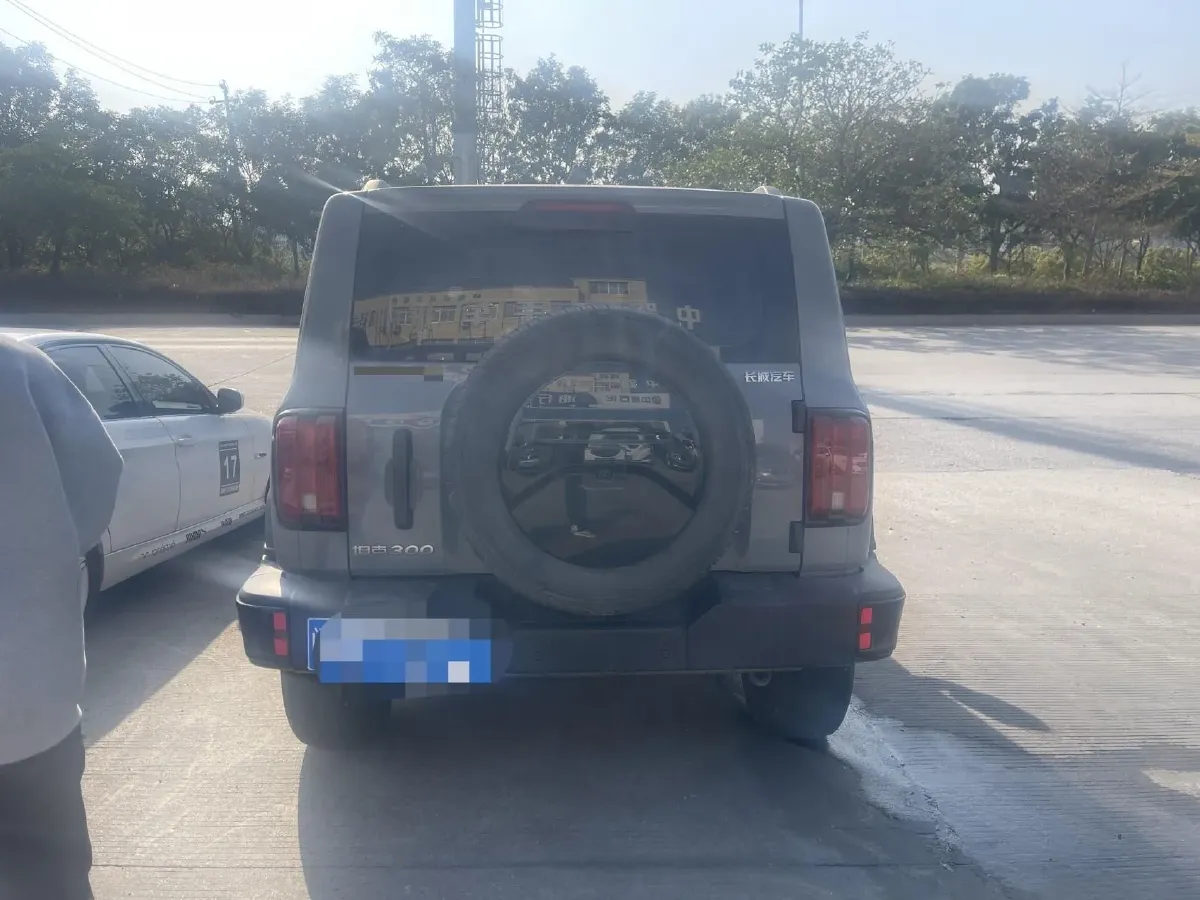 2024 Tank 300 2.0T 227HP L4 8AT,autocango,china used car exporter,china ev exporter,chinese used car exporter,chinese used ev exporter