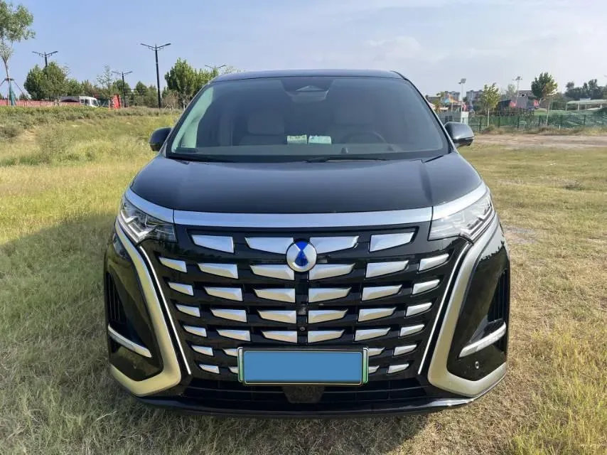 2022 Denza D9 1.5T 139HP L4 E-CVT PHEV 40.06KWH,autocango,china used car exporter,china ev exporter,chinese used car exporter,chinese used ev exporter