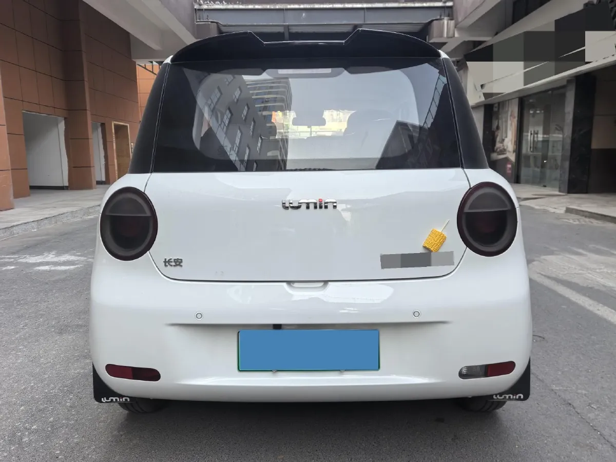 2024 ChangAn QiYuan Lumin BEV 13.41KWH,autocango,china used car exporter,china ev exporter,chinese used car exporter,chinese used ev exporter