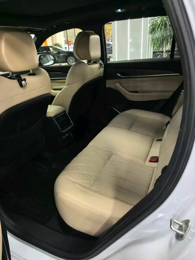 2025 Geely Monjaro 2.0T 238HP L4 8AT,autocango,china used car exporter,china ev exporter,chinese used car exporter,chinese used ev exporter