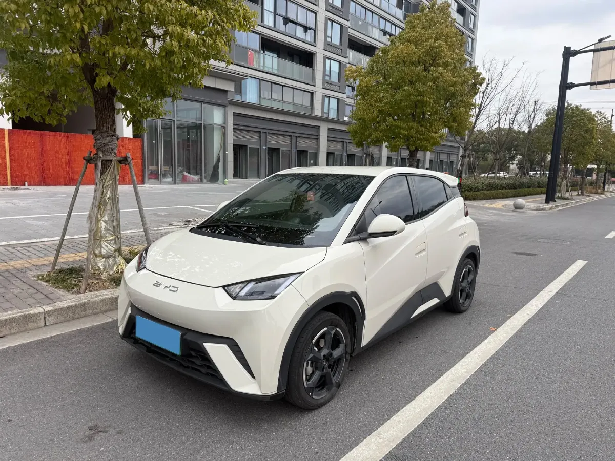 2023 BYD Seagull BEV 30.08KWH,autocango,china used car exporter,china ev exporter,chinese used car exporter,chinese used ev exporter