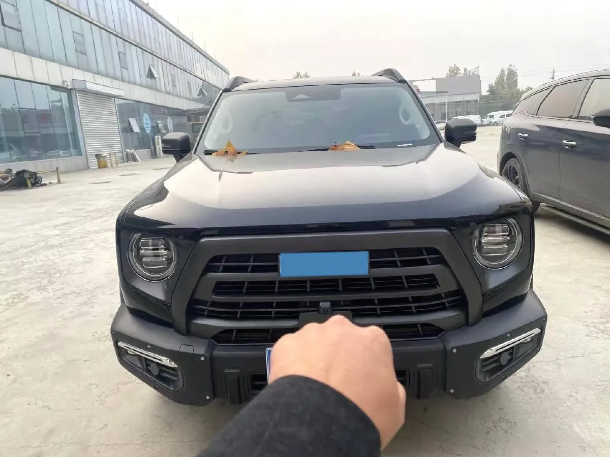 2024 Haval Dargo 2.0T 238HP L4 9DCT,autocango,china used car exporter,china ev exporter,chinese used car exporter,chinese used ev exporter