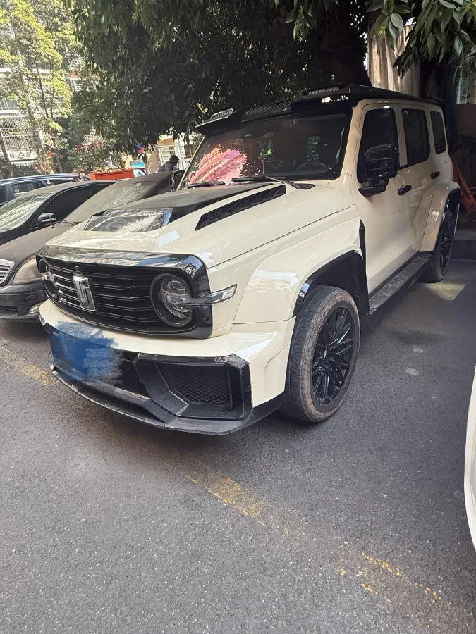 2022 Tank 300 2.0T 227HP L4 8AT,autocango,china used car exporter,china ev exporter,chinese used car exporter,chinese used ev exporter