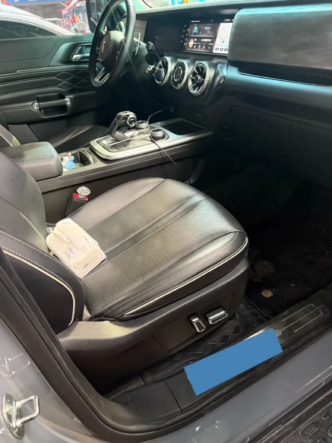 2022 Tank 300 2.0T 227HP L4 8AT,autocango,china used car exporter,china ev exporter,chinese used car exporter,chinese used ev exporter