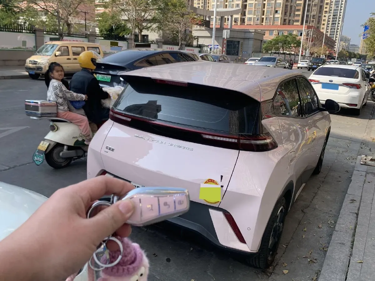 2023 BYD Seagull BEV 38.88KWH,autocango,china used car exporter,china ev exporter,chinese used car exporter,chinese used ev exporter