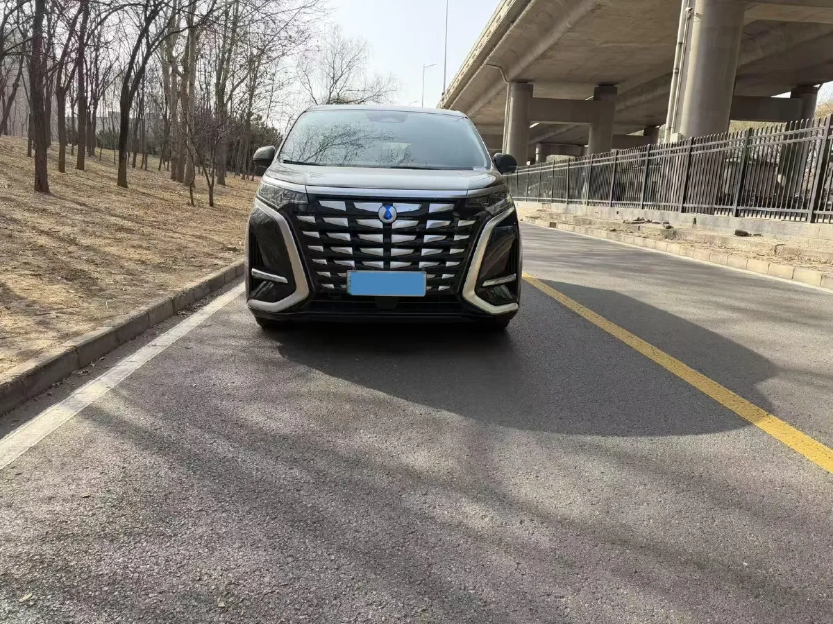 2023 Denza D9 1.5T 139HP L4 E-CVT PHEV 20.39KWH,autocango,china used car exporter,china ev exporter,chinese used car exporter,chinese used ev exporter