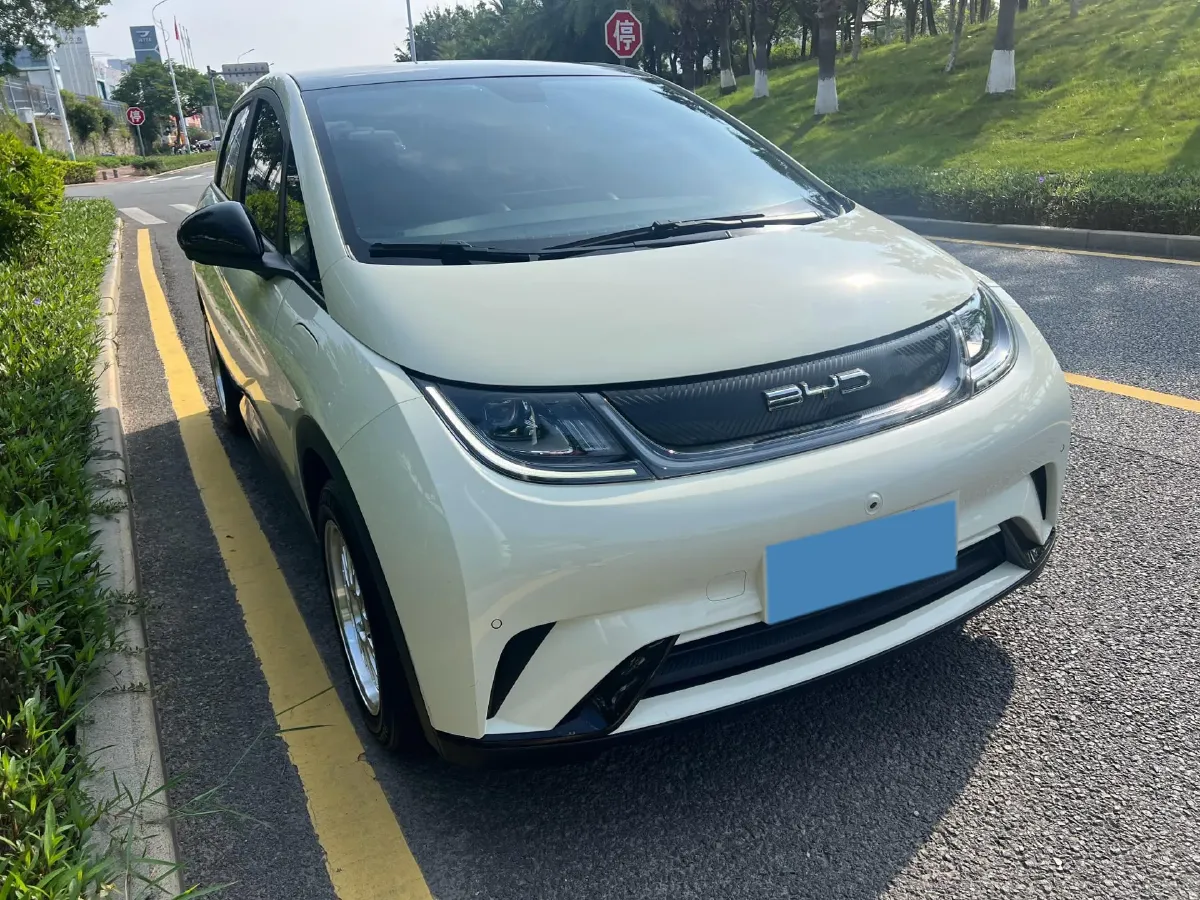 2023 BYD Dolphin BEV 44.928KWH,autocango,china used car exporter,china ev exporter,chinese used car exporter,chinese used ev exporter