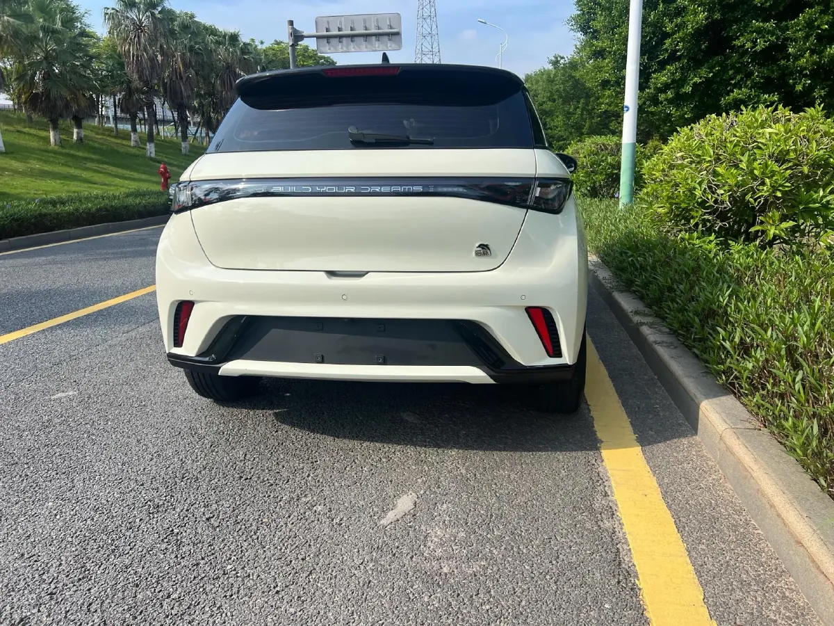 2023 BYD Dolphin BEV 44.928KWH,autocango,china used car exporter,china ev exporter,chinese used car exporter,chinese used ev exporter