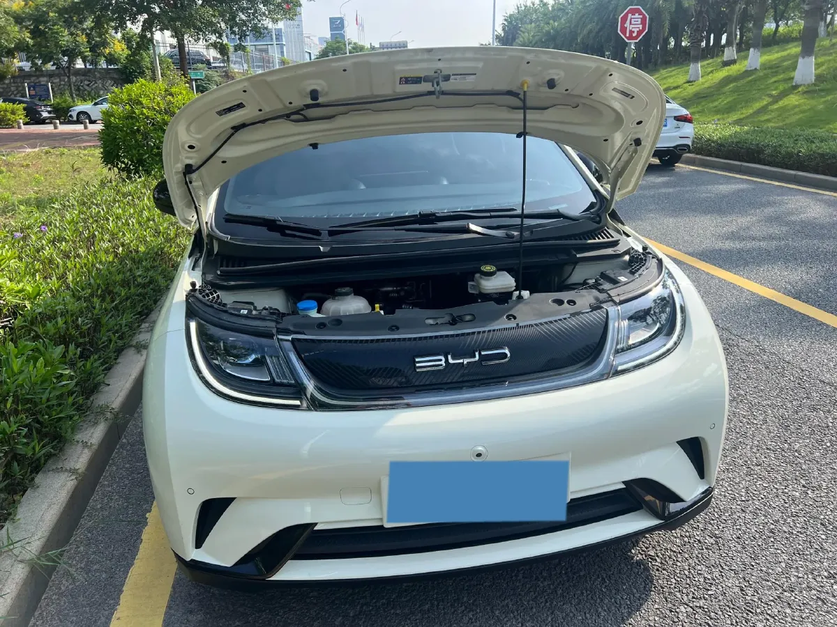 2023 BYD Dolphin BEV 44.928KWH,autocango,china used car exporter,china ev exporter,chinese used car exporter,chinese used ev exporter