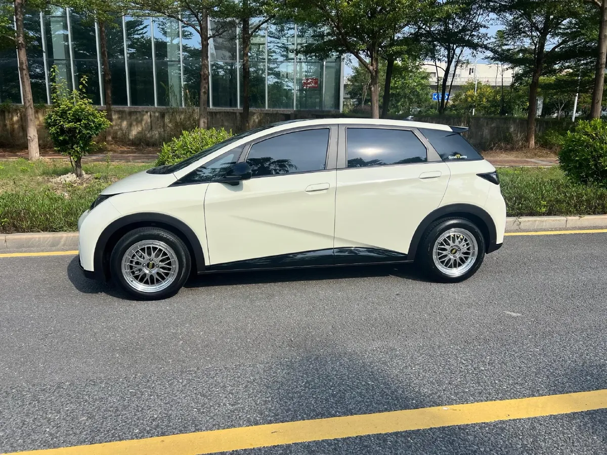 2023 BYD Dolphin BEV 44.928KWH,autocango,china used car exporter,china ev exporter,chinese used car exporter,chinese used ev exporter