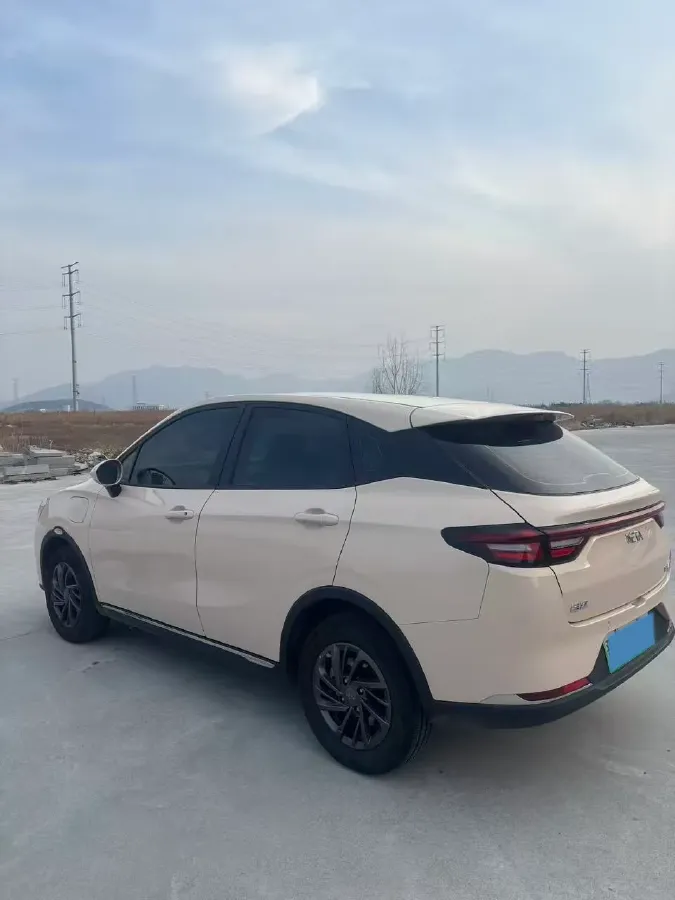 2023 Yudo Rabbit BEV 31.95KWH,autocango,china used car exporter,china ev exporter,chinese used car exporter,chinese used ev exporter