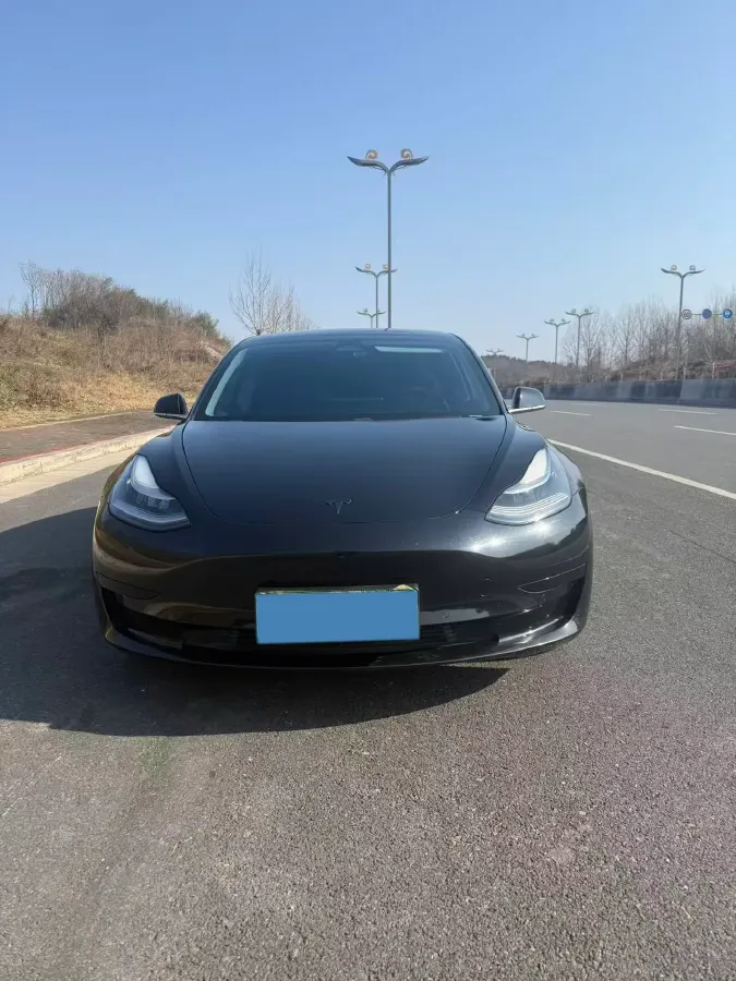 2020 Tesla Model 3 BEV 52KWH,autocango,china used car exporter,china ev exporter,chinese used car exporter,chinese used ev exporter