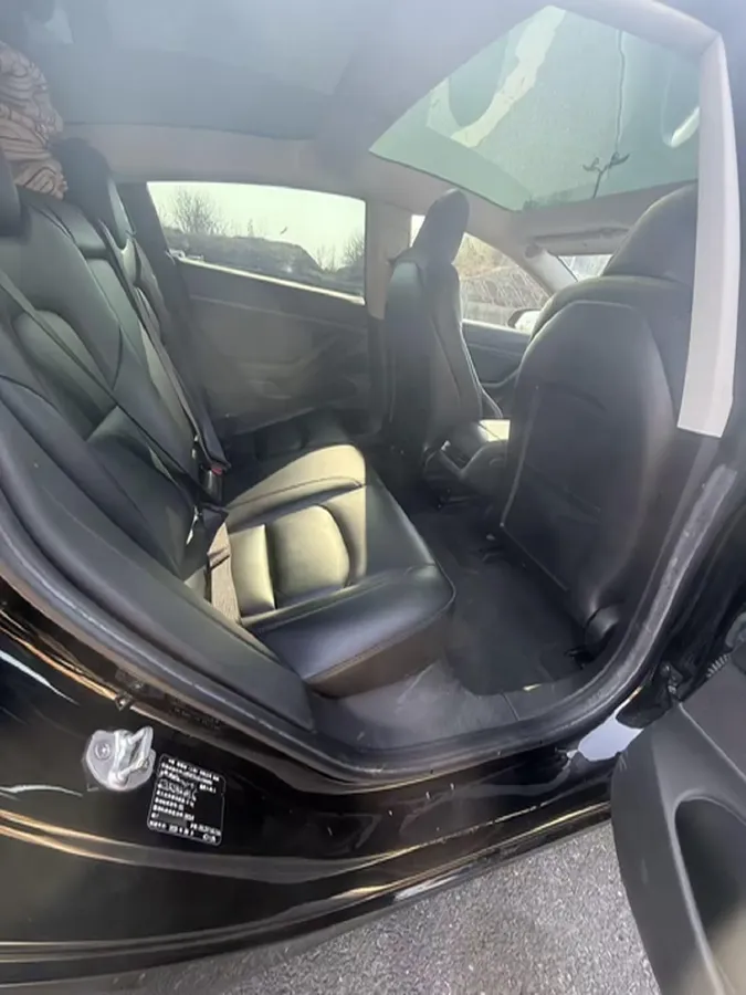 2020 Tesla Model 3 BEV 52KWH,autocango,china used car exporter,china ev exporter,chinese used car exporter,chinese used ev exporter