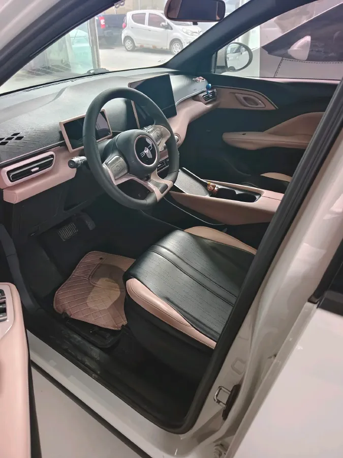 2024 BYD Seagull BEV 30.08KWH,autocango,china used car exporter,china ev exporter,chinese used car exporter,chinese used ev exporter