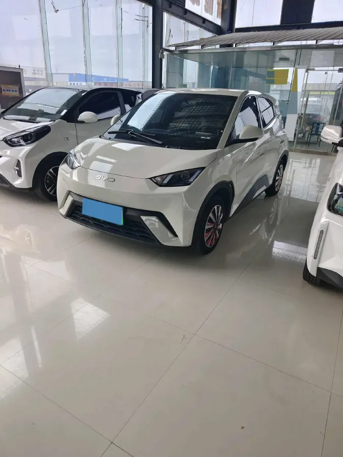 2024 BYD Seagull BEV 30.08KWH,autocango,china used car exporter,china ev exporter,chinese used car exporter,chinese used ev exporter