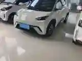 2024 BYD Seagull BEV 30.08KWH